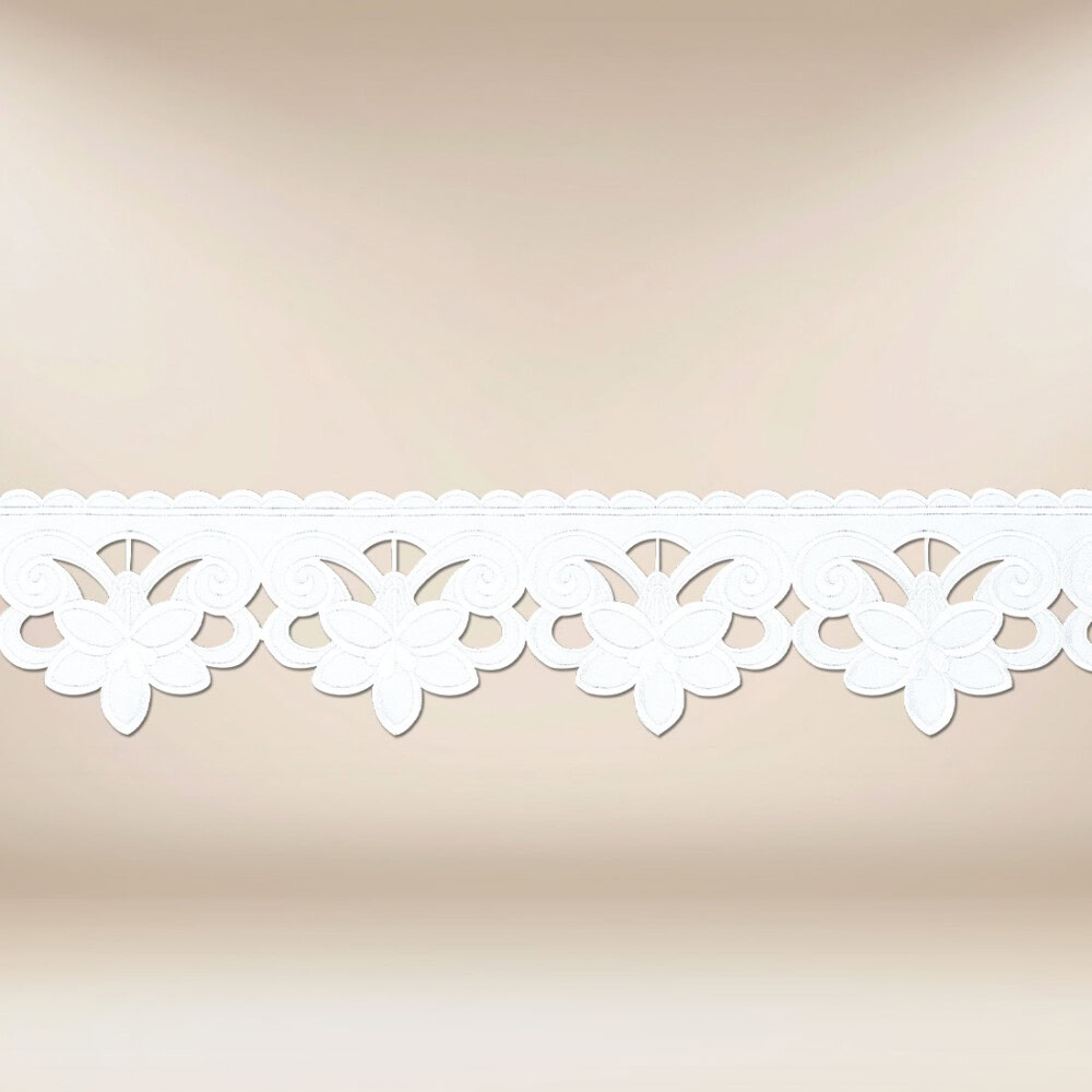 Dentelle brodée blanche
