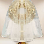 Voile pour monstrance avec bord blanc 80cm