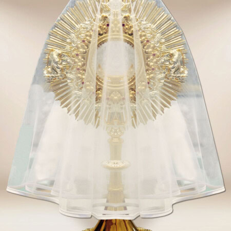 Voile pour monstrance avec bord blanc 80cm
