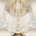 Voile pour monstrance 80cm
